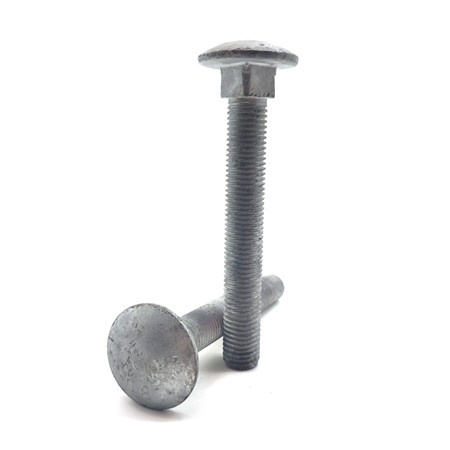 2013 Nieuwste fabricage Truss Head Carriage Bolts