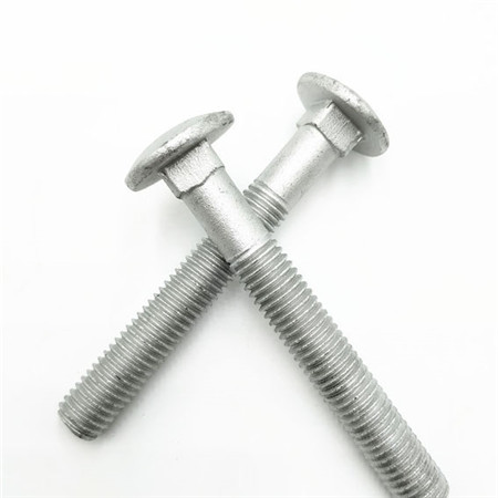 Extra Large Cup Head Carriage Bolts Roestvrij