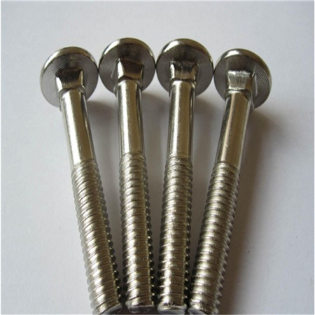 Din933 Carriage Bolt Manufacturing 316L A4-80 RVS ASTM Small Head Carriage Bolt Flat M20